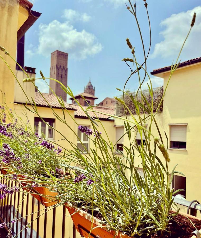 Green House City Center Apartment Bologna Bagian luar foto